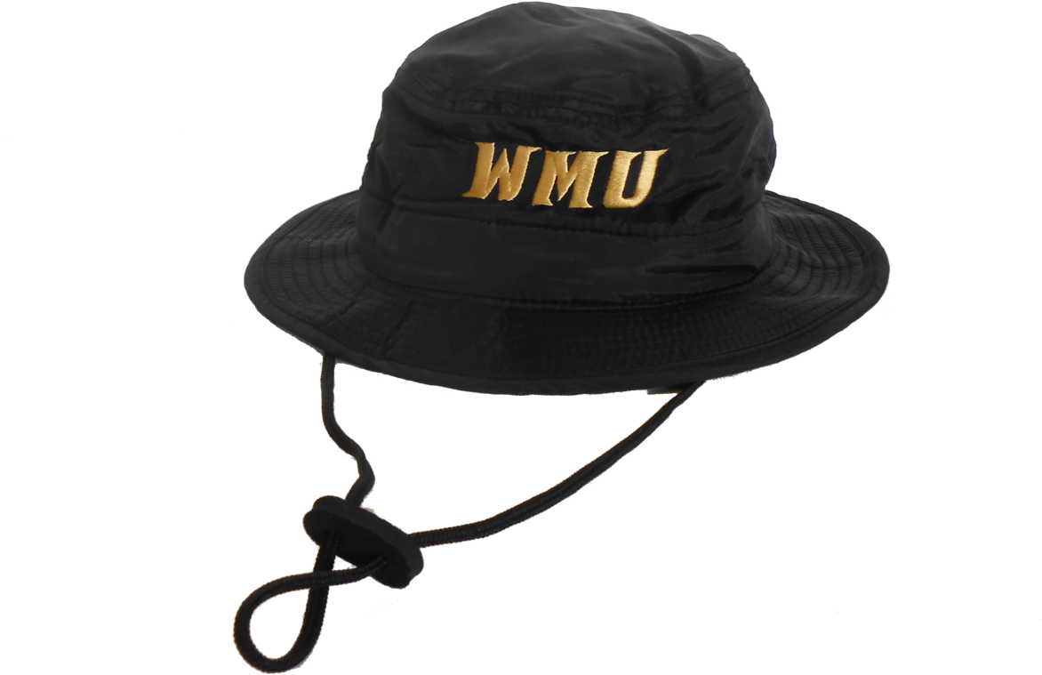 Western Michigan University (1200x900), Png Download