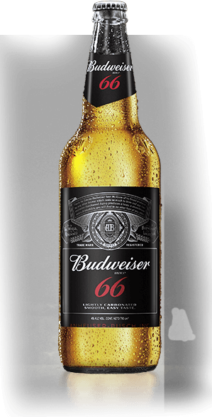 Bottle - Guinness (299x586), Png Download