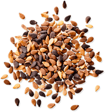Sesame Seeds Png Pic - Seeds Png (611x547), Png Download