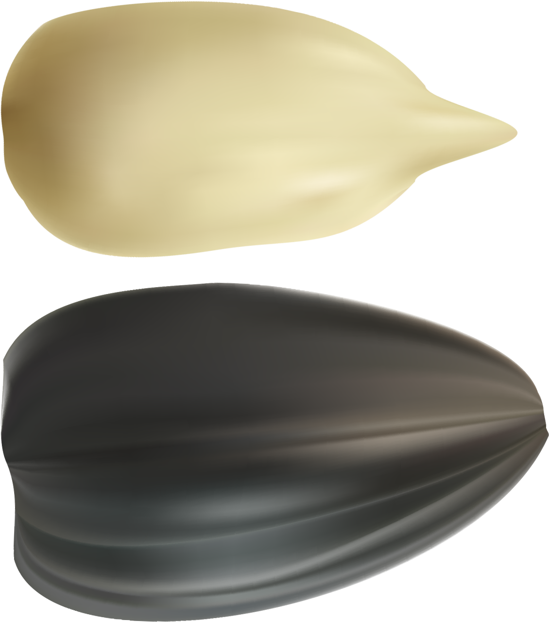 Sunflower Seeds Png - Sunflower Seeds Clipart Png (1344x1500), Png Download