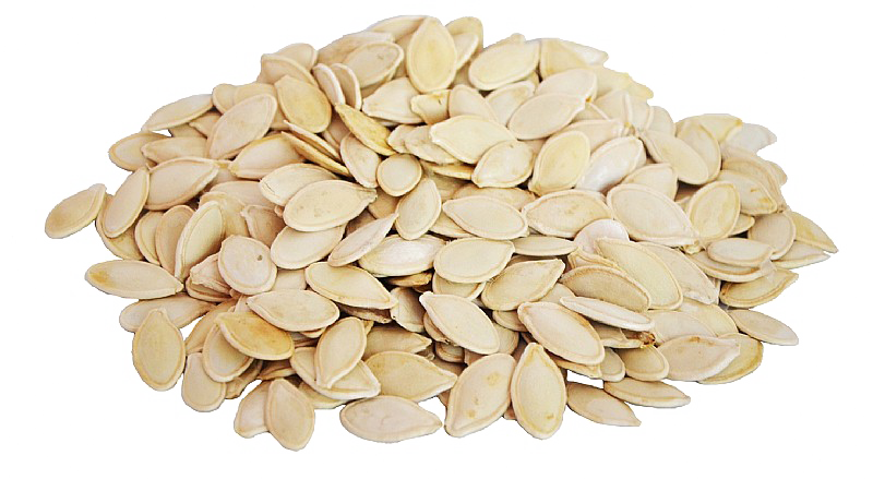 Banner Freeuse Stock Png Transparent Images All - کدو گوشتی (800x439), Png Download