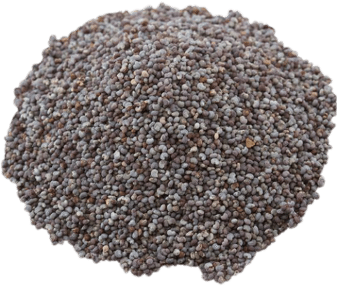 Poppy Seeds - Food To Live Poppy Seeds (australia) (50 Pounds) (480x480), Png Download
