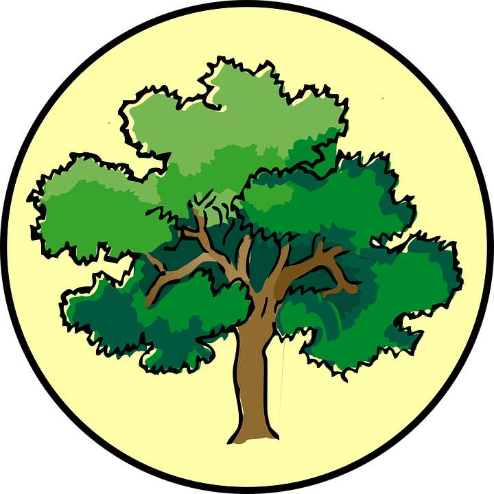 Tree-310207 960 720 - Tree Clipart Png (720x720), Png Download