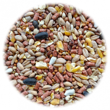 Red Comb 5kg Refill Pack - Pebble (387x480), Png Download