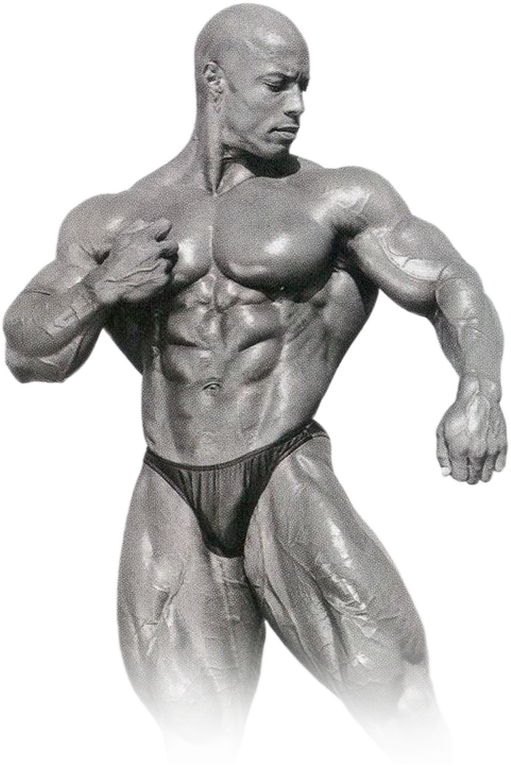 Master Of Ceremonies - Shawn Ray (511x766), Png Download