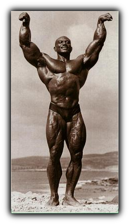Did You Know That Sergio Oliva Was A Highly Ranked - Biscuit Oliva (274x463), Png Download
