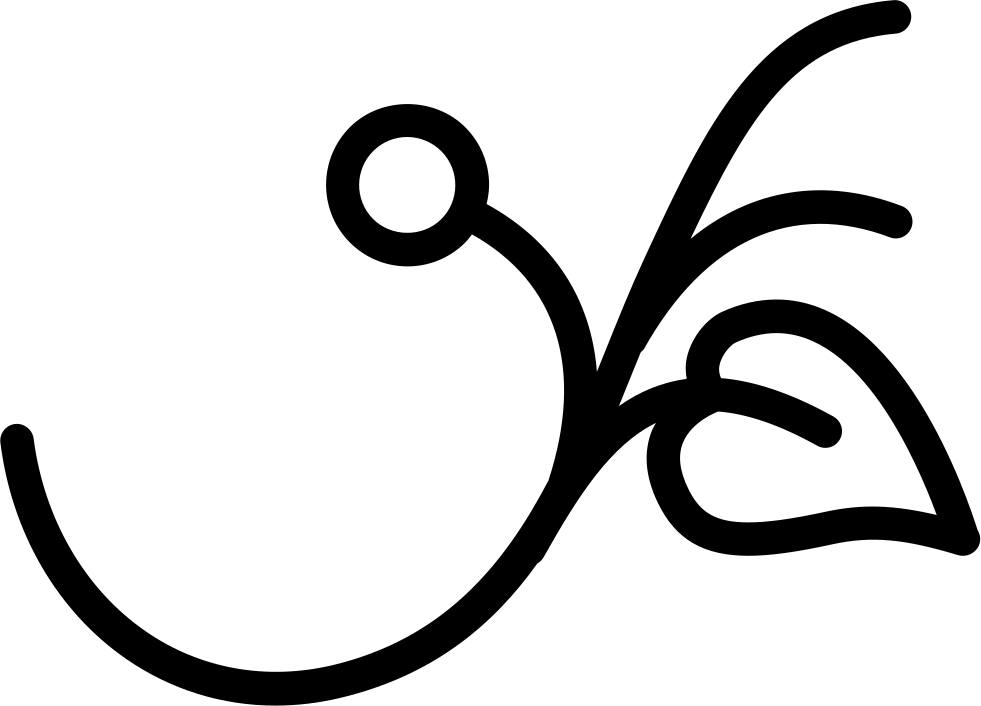 Branch With A Leaf And A Seed Comments - Leaf (981x706), Png Download