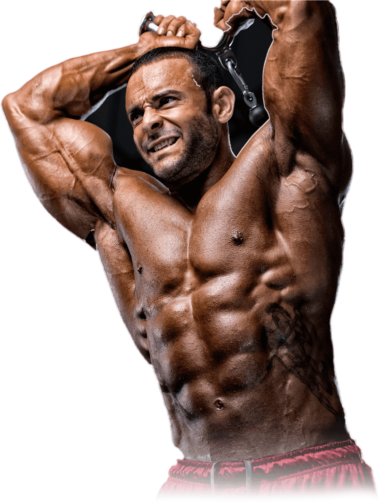 Build Muscle - Muscle (1250x1648), Png Download