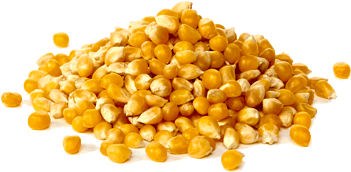 Maize - Raw Popcorn (400x400), Png Download