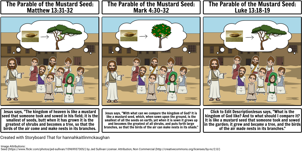 The Parable Of The Mustard Seed - Parable Of The Mustard Seed Storyboard (1164x597), Png Download