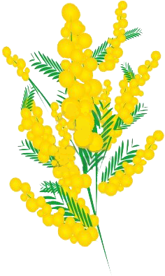 Mimosa - Simbolo Festa Delle Donne (400x400), Png Download