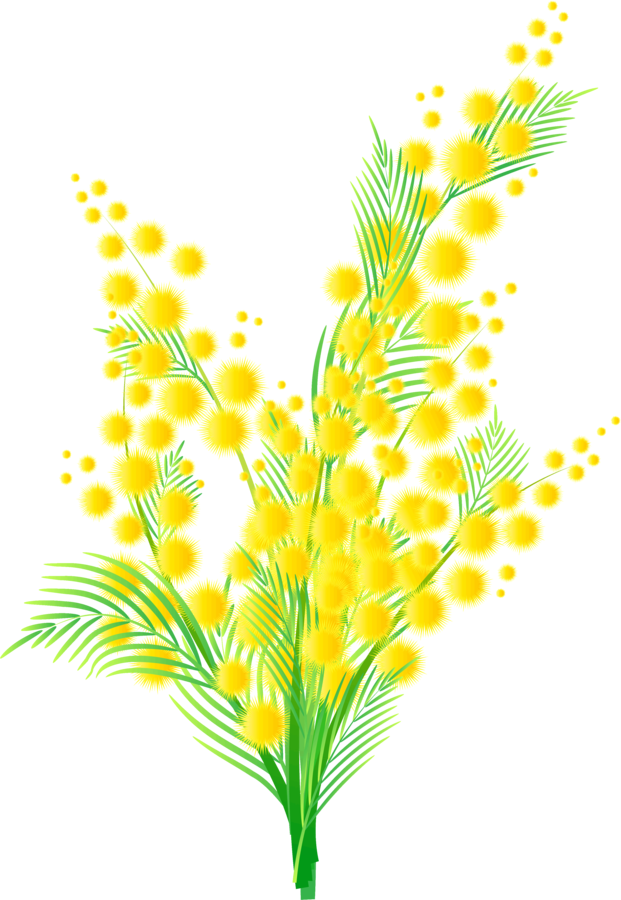 Mimosa Clip Stock - Illustration (621x900), Png Download