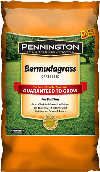 Pennington Bermudagrass - Pennington Bermuda Grass Seed (600x600), Png Download