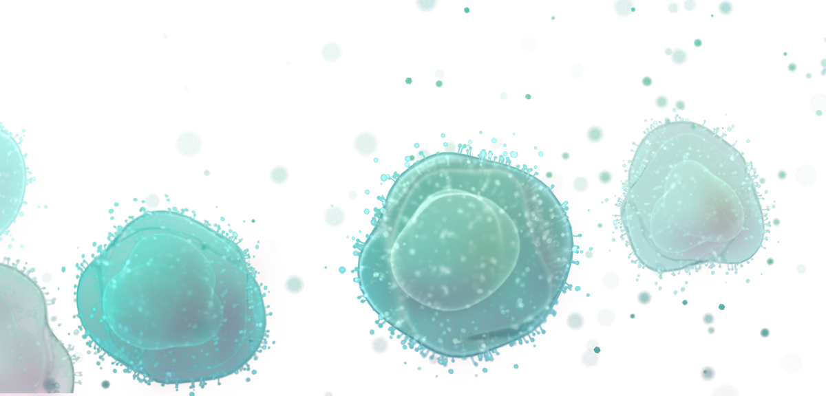 Bubbles Midground-1200x576 - Circle (1200x576), Png Download