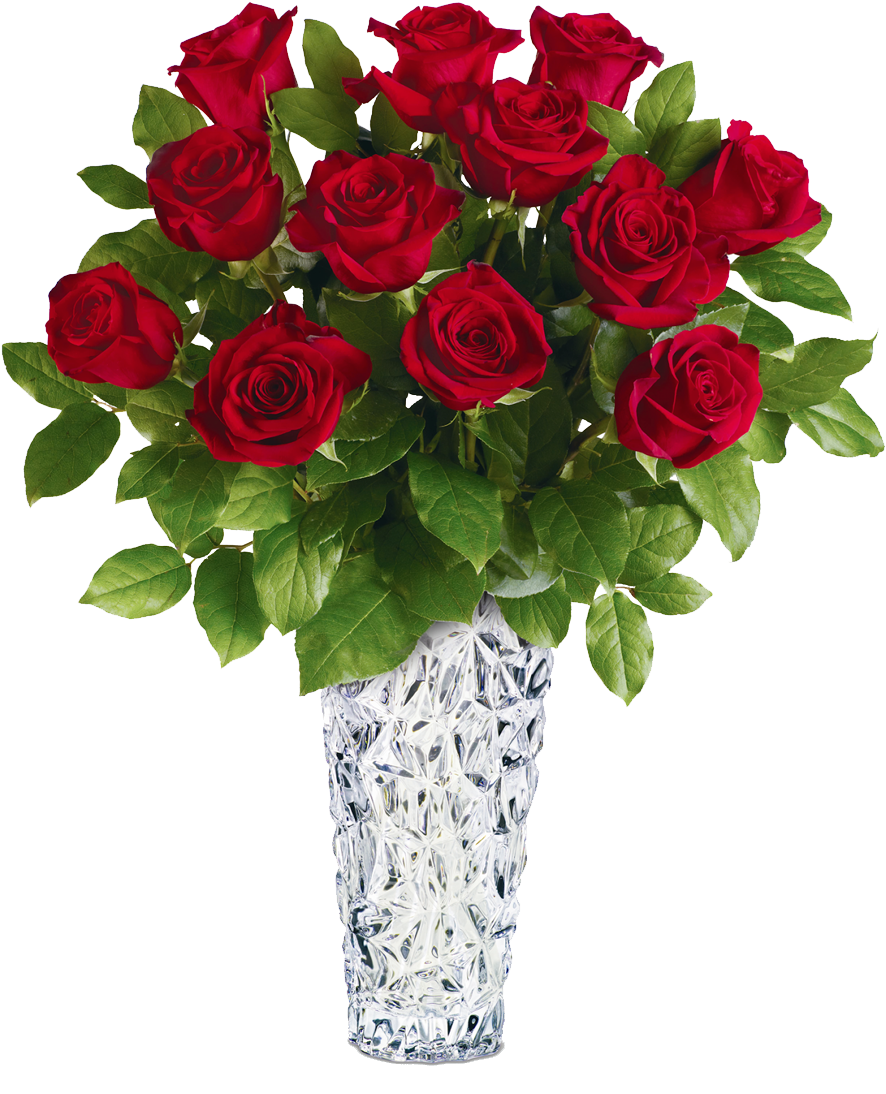 2dozen Red Roses Vase (1200x1200), Png Download