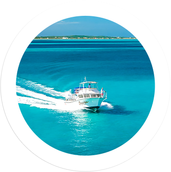 49'11 Beam - Beach (346x348), Png Download