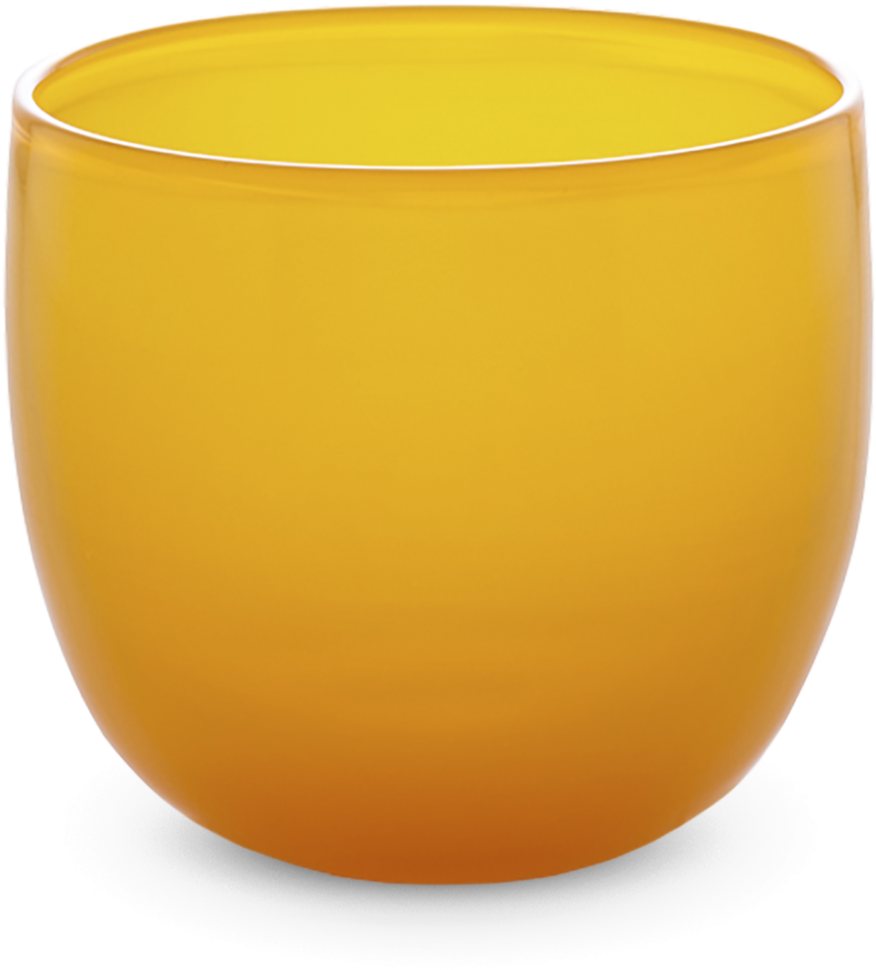 Mimosa - Flowerpot (1217x1218), Png Download