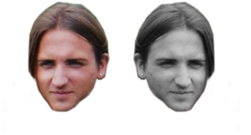 19 Nov - Human (500x319), Png Download