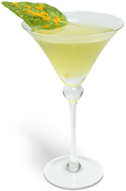 360 O - B - M - - Margarita Madness (1000x1000), Png Download