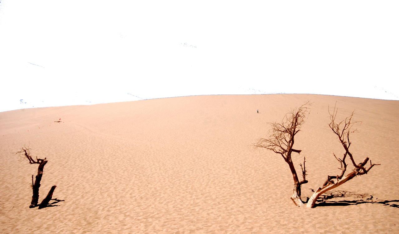 Desert Png Background - Desert (1280x753), Png Download