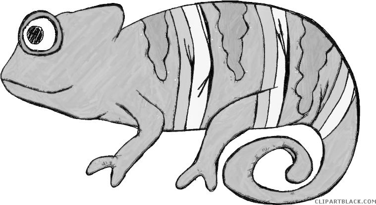 Animals Animal Free Black White Images Clipartblack - Desert Animals Clip Art (800x439), Png Download