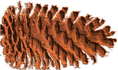 Pond Pine (430x430), Png Download