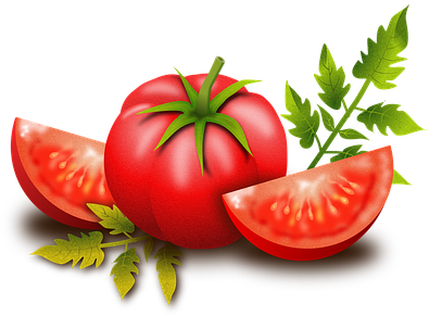 Tomato, Fruits, Vegetables, Plants, Food - Tomato (420x340), Png Download