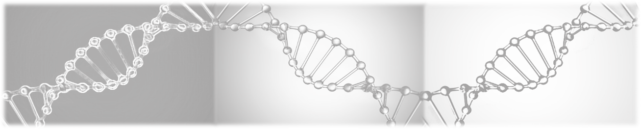 Box 13475, Research Triangle Park, Nc - Chain (1308x263), Png Download