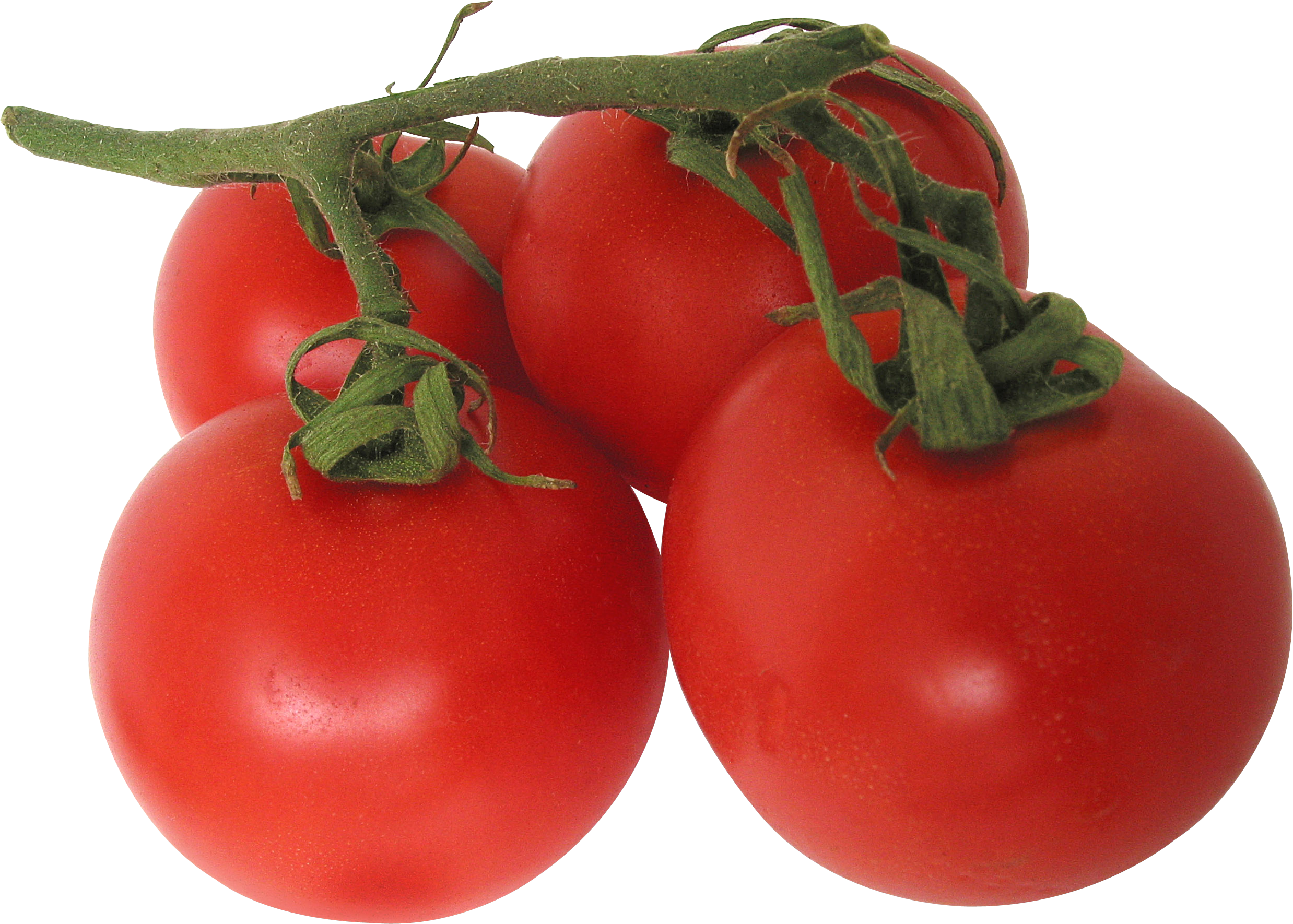 Tomatoes Png - Transparent Background Tomatoes Png (2476x1770), Png Download