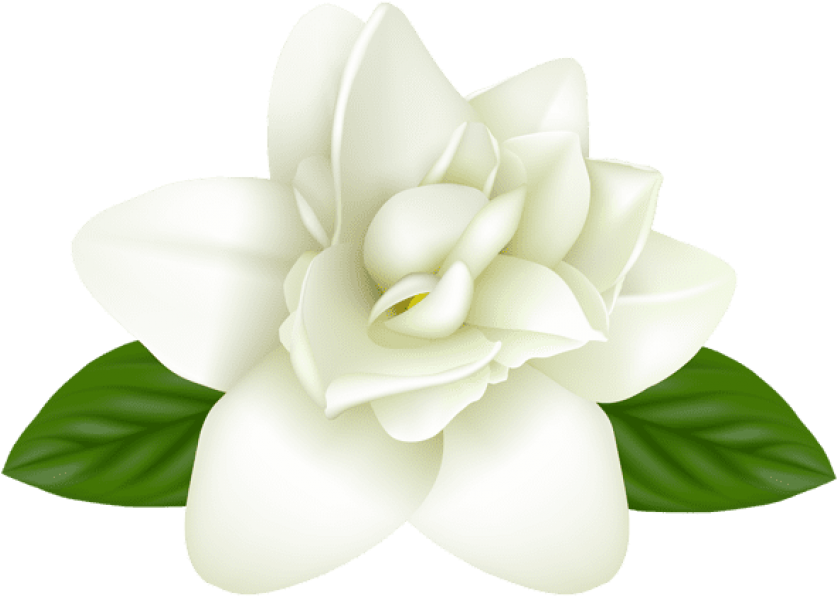 0, - Portable Network Graphics (600x425), Png Download