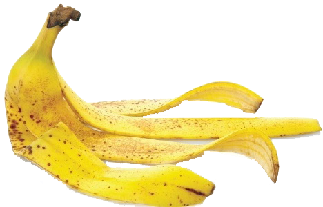 Casca De Banana Png - Banana Peel (468x300), Png Download