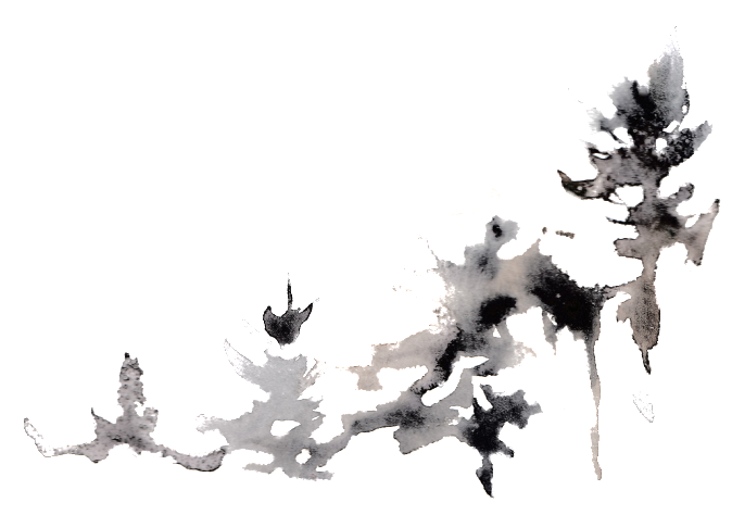 This Graphics Is Creative Pine Transparent Watercolor - Creativity (1024x1024), Png Download