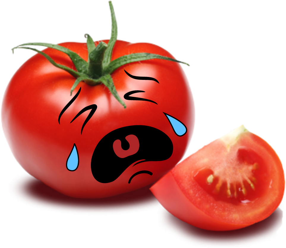 Adorable Red Cute Sad Scyousa - Tomato Png (963x835), Png Download
