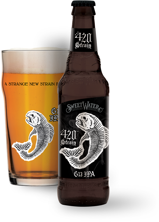Sweetwater Brews - Sweetwater G13 Ipa (625x753), Png Download
