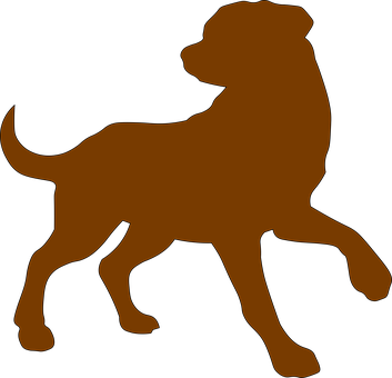 Dog, Brown, Outline, Domestic, Animal - Perro Contorno (353x340), Png Download