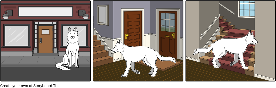 Perro Entra A Casa - Wolfdog (1164x385), Png Download