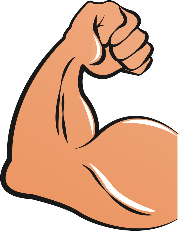 Biceps Femoris Muscle Arm Biceps Femoris Muscle Hand - Biceps Clipart (579x750), Png Download