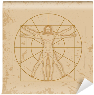 Vitruvian Man By Leonardo Da Vinci Wall Mural • Pixers® - Circle (400x400), Png Download
