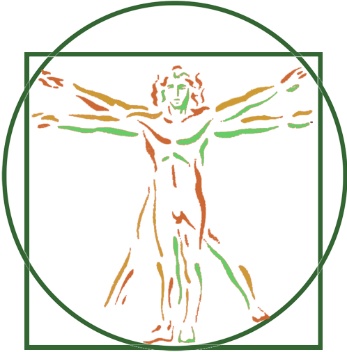 Homem Vitruviano 11 Leonardo Da Vinci, Men - Vitruvian Man (498x506), Png Download