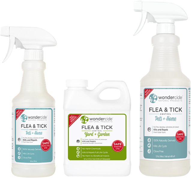 Early Intervention Kit (700x700), Png Download