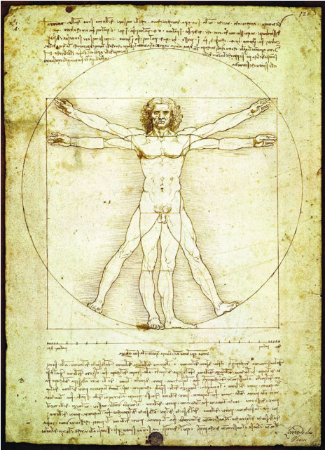 The Vitruvian Man - Leonardo Da Vinci (640x640), Png Download