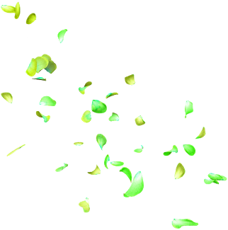 Flower Petal Png (640x640), Png Download