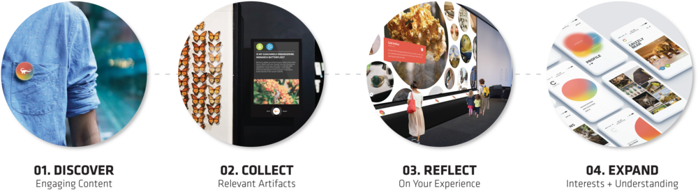 Points Of Intervention - Portable Network Graphics (1000x356), Png Download