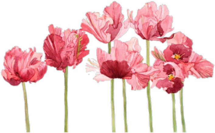 Aesthetic, Flowers, And Overlay Image - Flowers Watercolour (750x750), Png Download