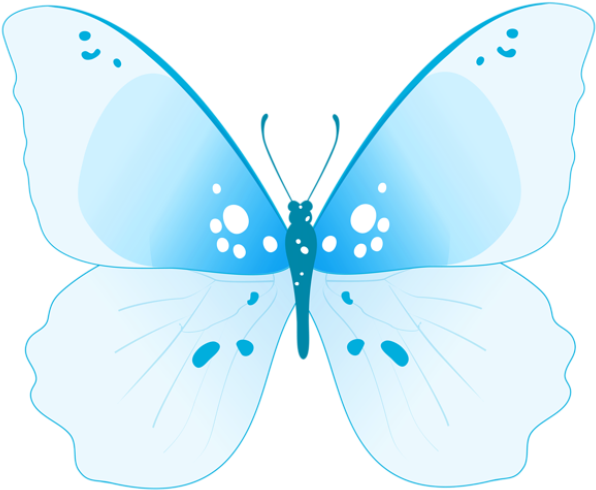 0, - Portable Network Graphics (600x497), Png Download