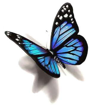 Blue Butterfly Png Photo - Blue 3d Butterfly (400x400), Png Download