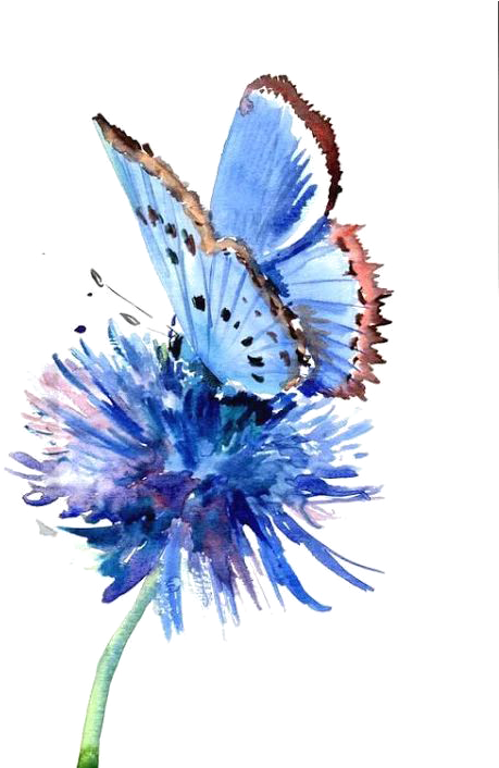 Butterfly Painting Blue Flower Drawing - Watercolor Art Flowers And Butterfly (530x705), Png Download