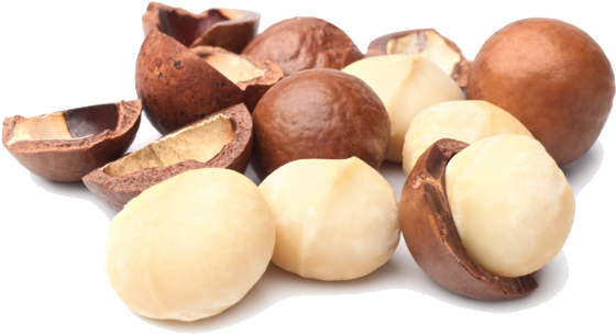 Macadamia Nuts Png Photo - Macadamia Nuts (615x399), Png Download