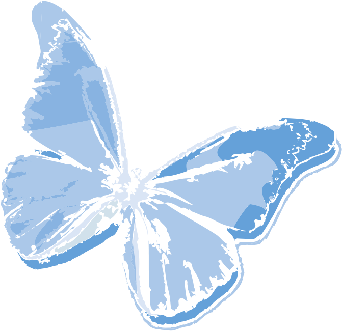 New Release - Brush-footed Butterfly (708x711), Png Download