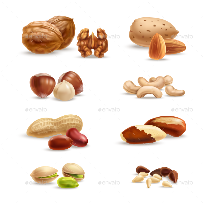 Nuts Nuts - Stock Illustration (834x834), Png Download
